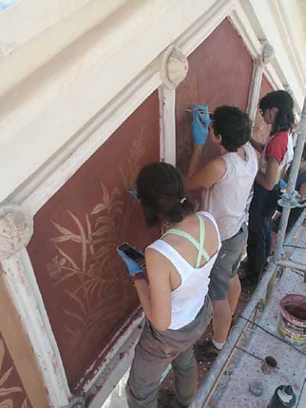 Procés: reintegració dels esgrafiats vegetals sobre fons vermell