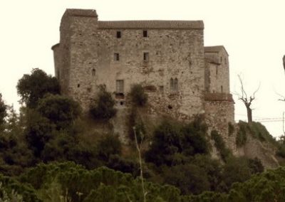 2009 : Arrencament d’urgència les pintures murals del Castell de Sentmenat de la província de Barcelona. (treball per a la constructora Freyssinet).